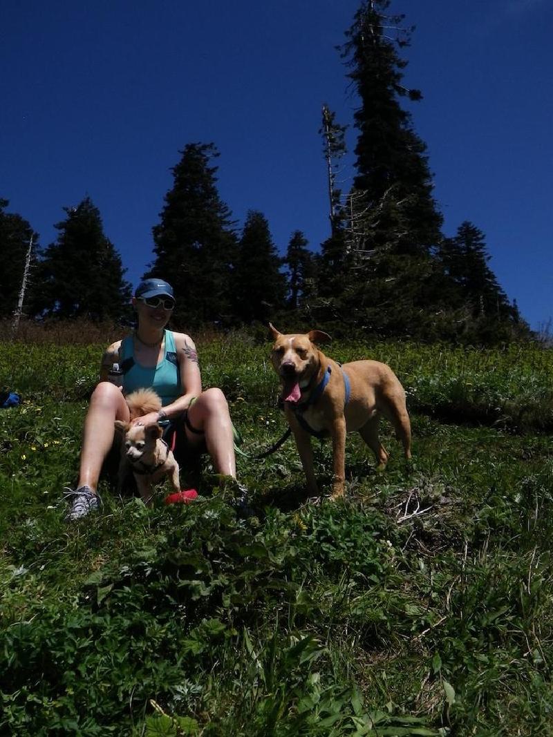 gallery/dogMountainJune_017.jpg