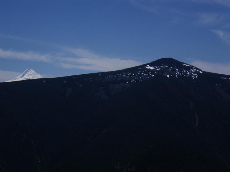 gallery/dogMountainJune_019.jpg