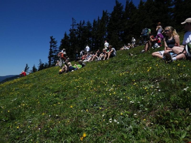 gallery/dogMountainJune_027.jpg