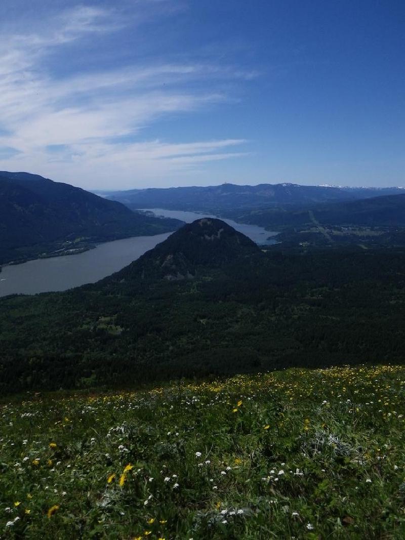 gallery/dogMountainJune_028.jpg