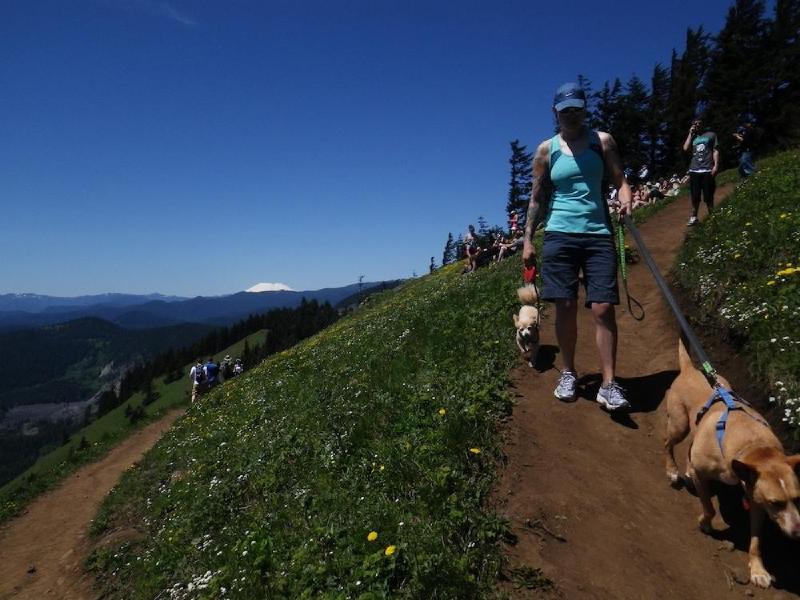 gallery/dogMountainJune_038.jpg