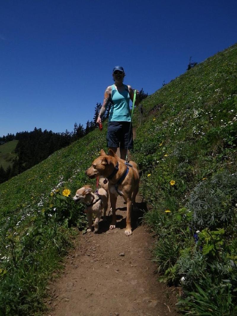 gallery/dogMountainJune_039.jpg