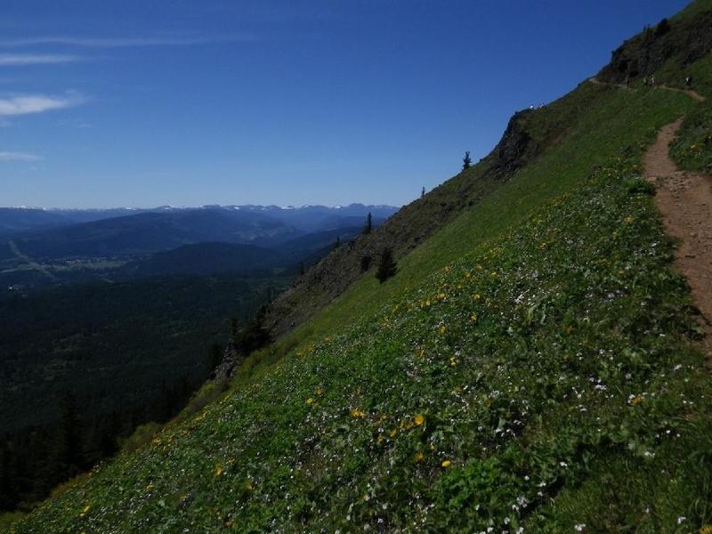 gallery/dogMountainJune_043.jpg
