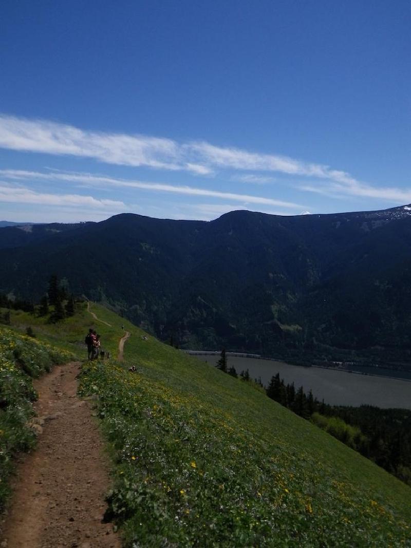 gallery/dogMountainJune_044.jpg