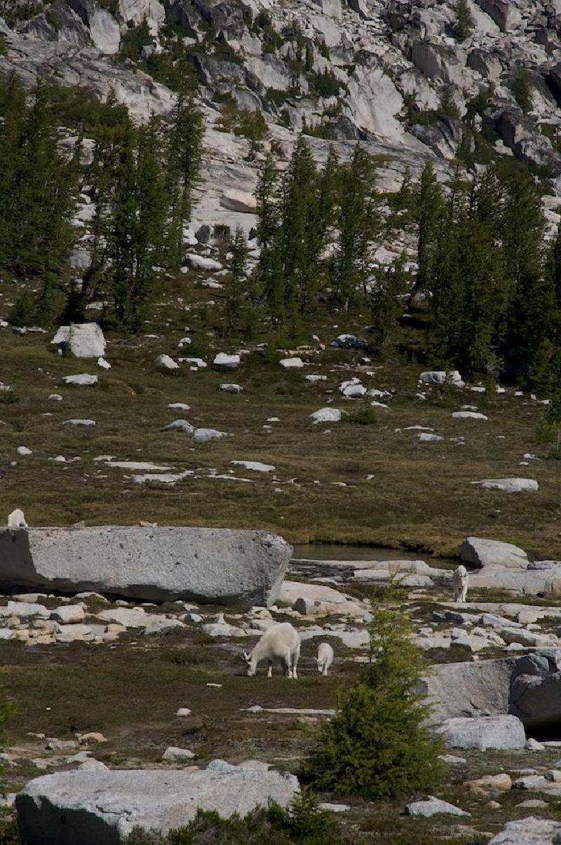 gallery/enchantments_171.jpg