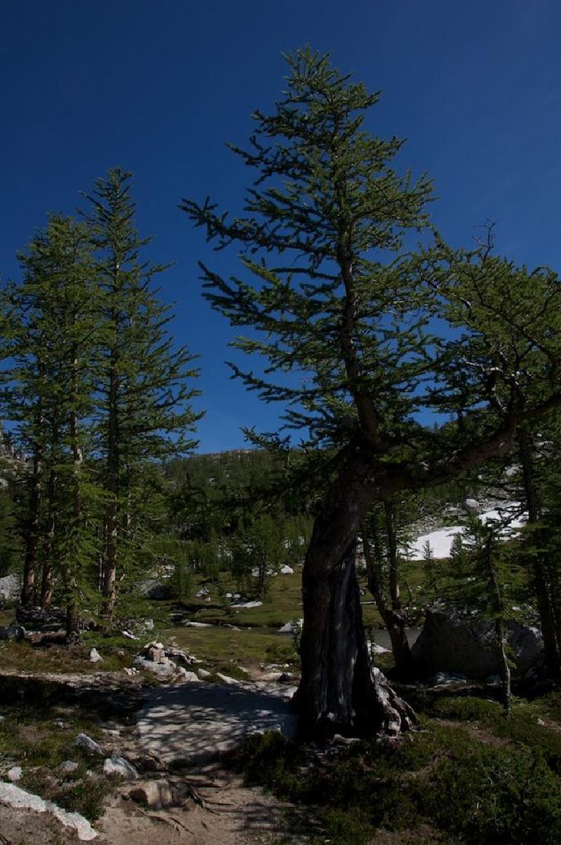 gallery/enchantments_187.jpg