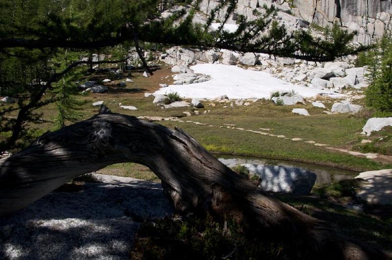 gallery/enchantments_199.jpg