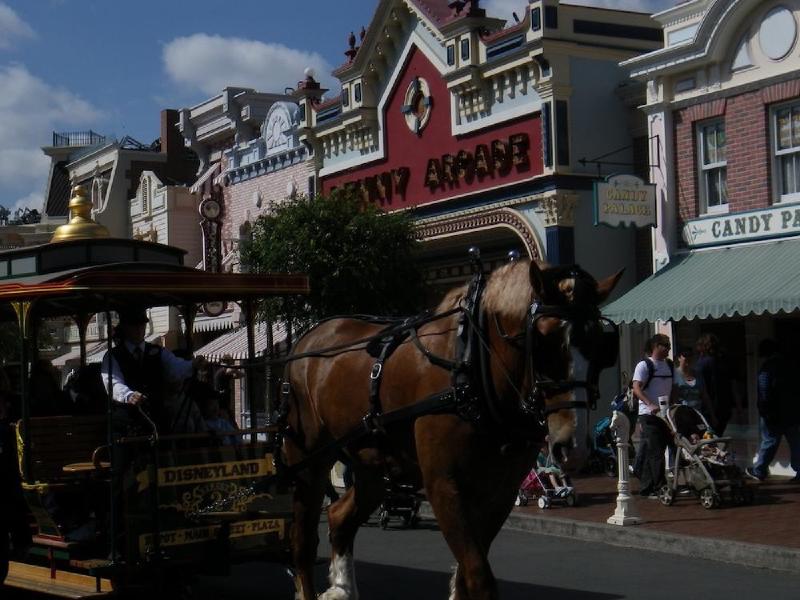 gallery/disneyLand_009.jpg