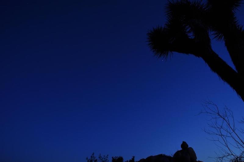 gallery/joshuaTreeNight_007.jpg