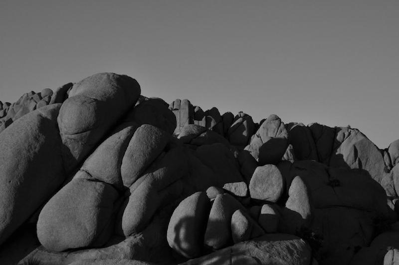 gallery/joshuaTree_023.jpg