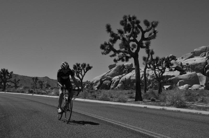 gallery/joshuaTree_049.jpg