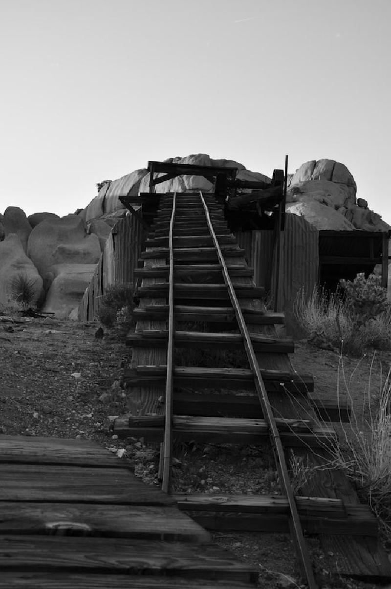 gallery/joshuaTree_059.jpg