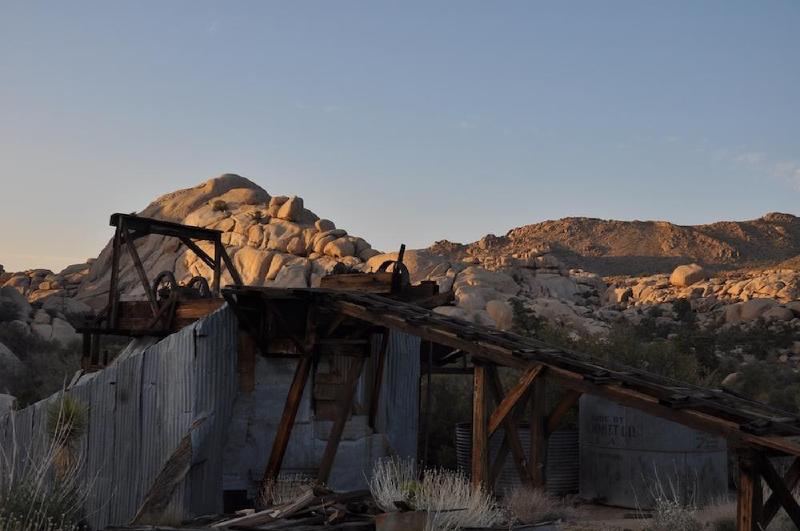 gallery/joshuaTree_061.jpg