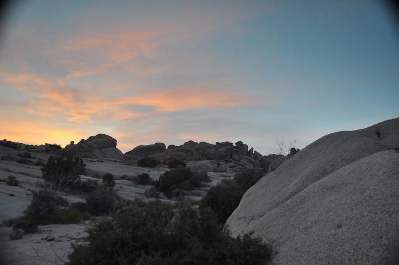 gallery/joshuaTree_091.jpg