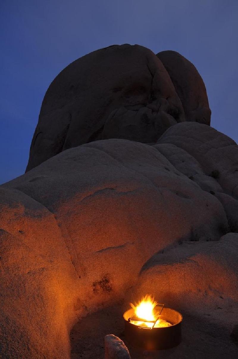 gallery/joshuaTree_113.jpg