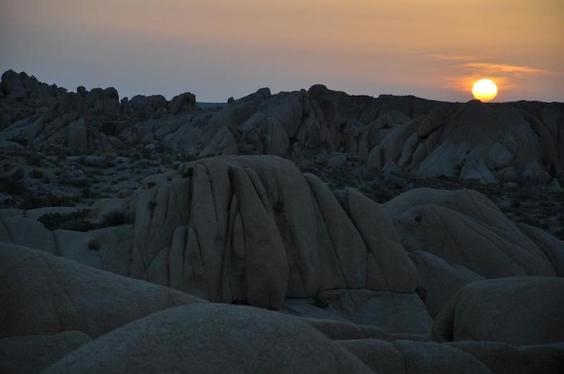 gallery/joshuaTree_147.jpg