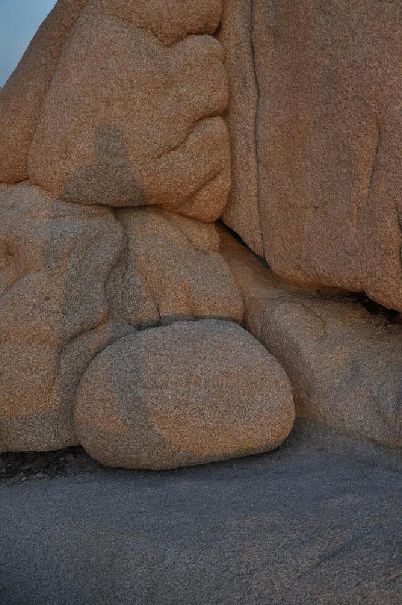 gallery/joshuaTree_164.jpg