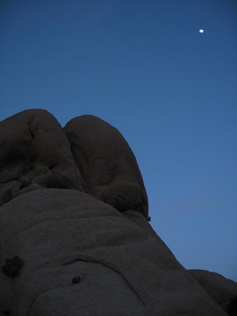 gallery/joshuaTree_184.jpg