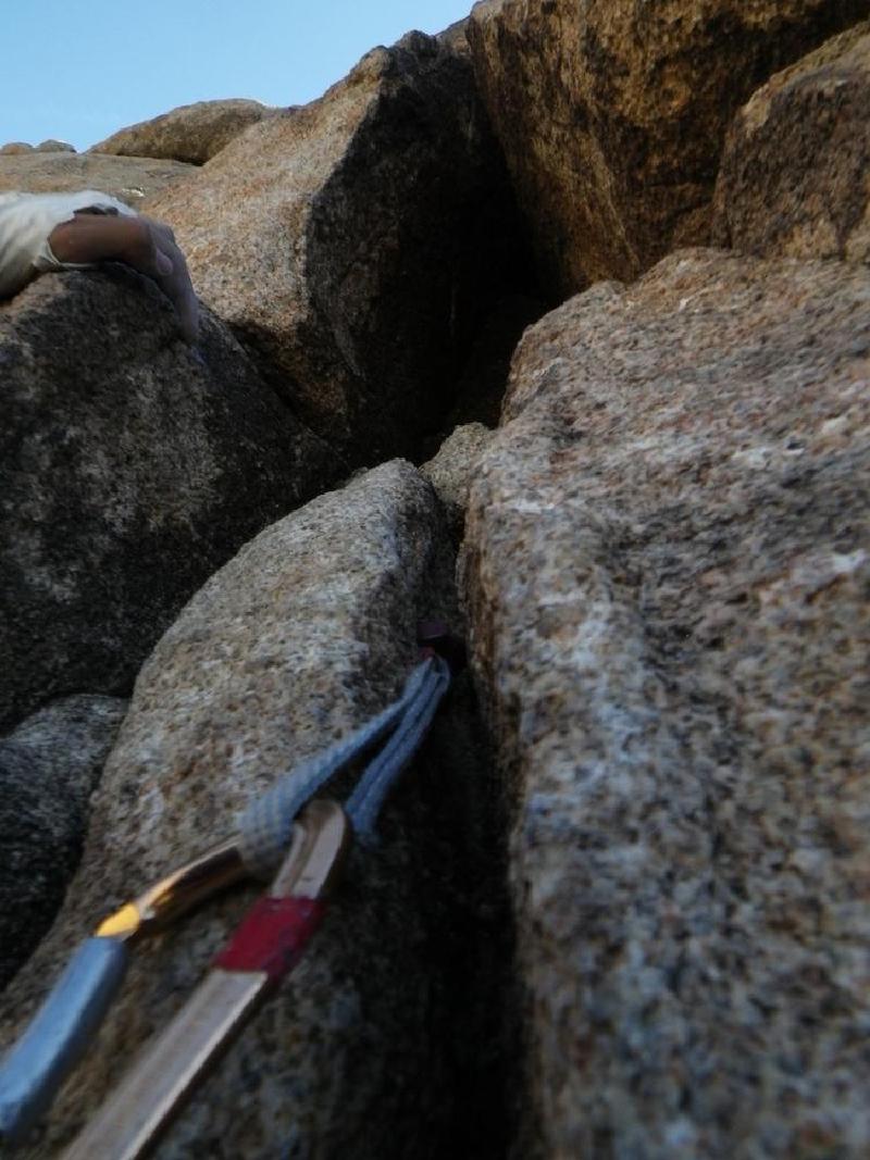 gallery/joshuaTree_209.jpg