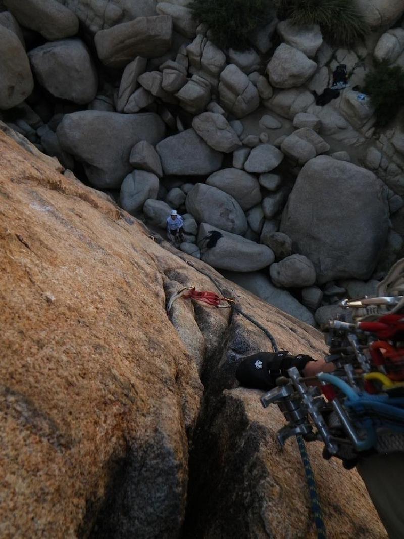 gallery/joshuaTree_212.jpg