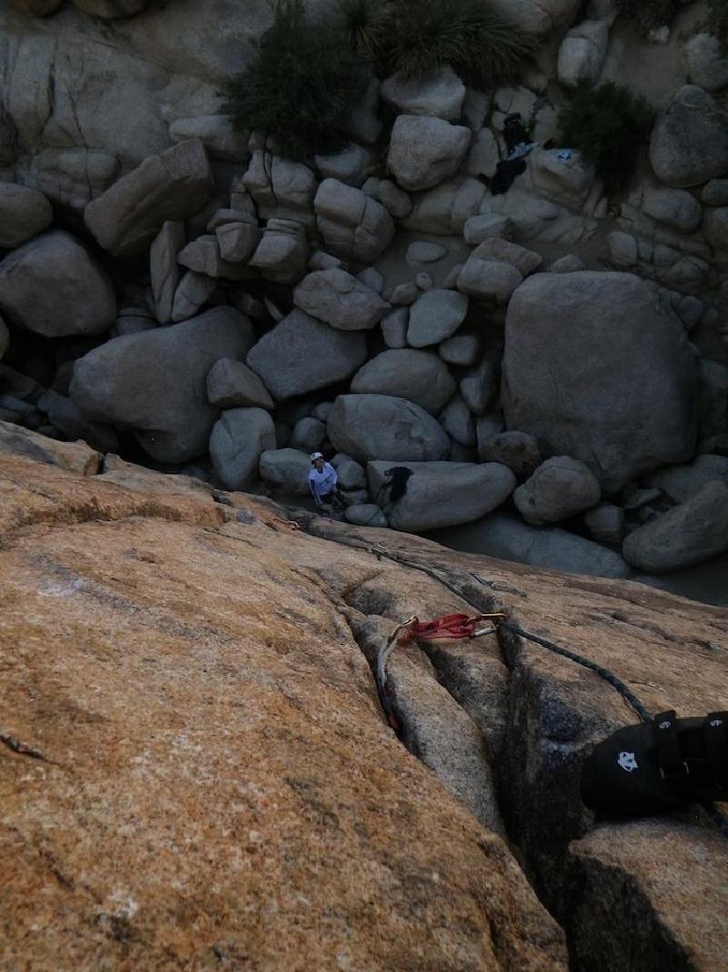 gallery/joshuaTree_214.jpg