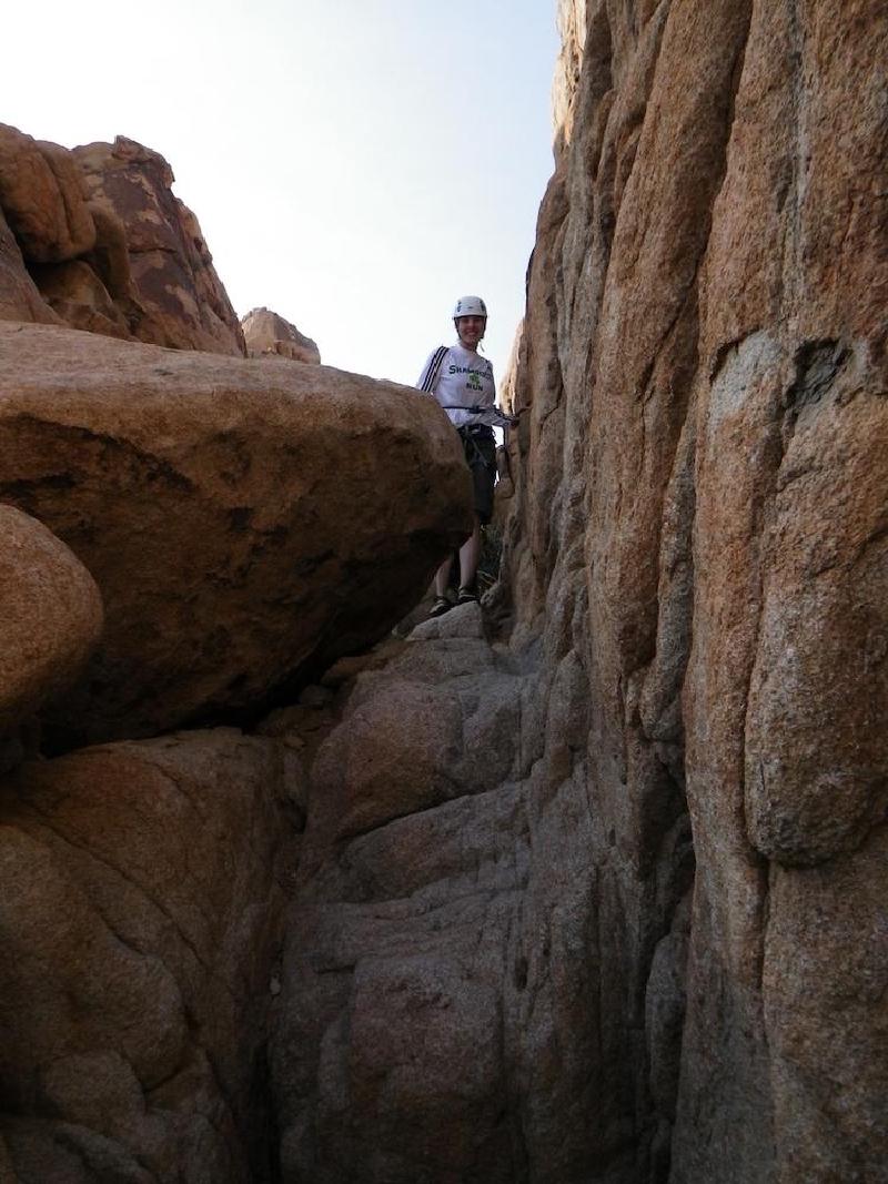 gallery/joshuaTree_223.jpg
