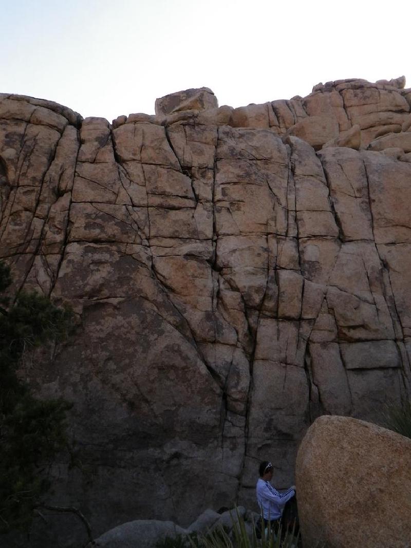 gallery/joshuaTree_229.jpg