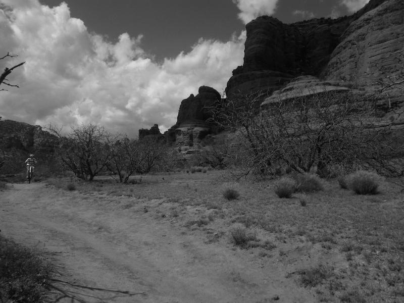 gallery/sedona_055.jpg