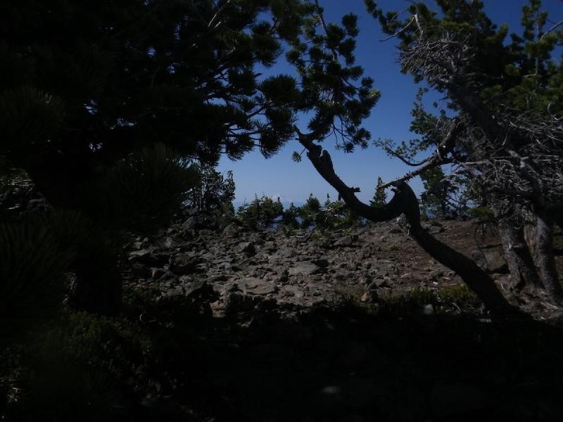 gallery/mtAdamsSolo_095.jpg