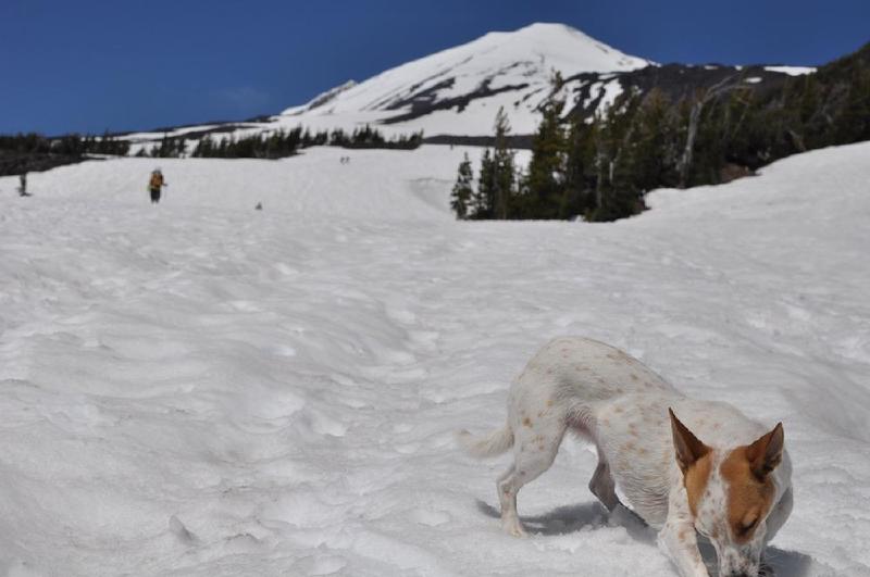 gallery/mtAdams_028.jpg