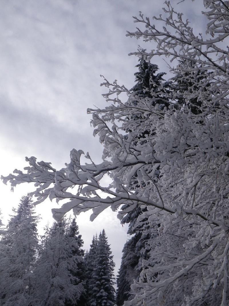 gallery/snowShoeing_009.jpg