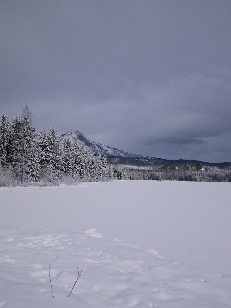 gallery/snowShoeing_011.jpg