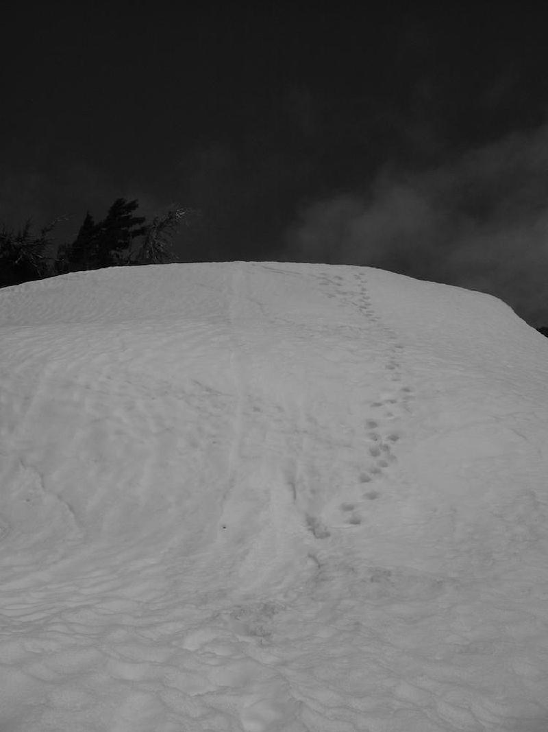 gallery/southSister_011.jpg