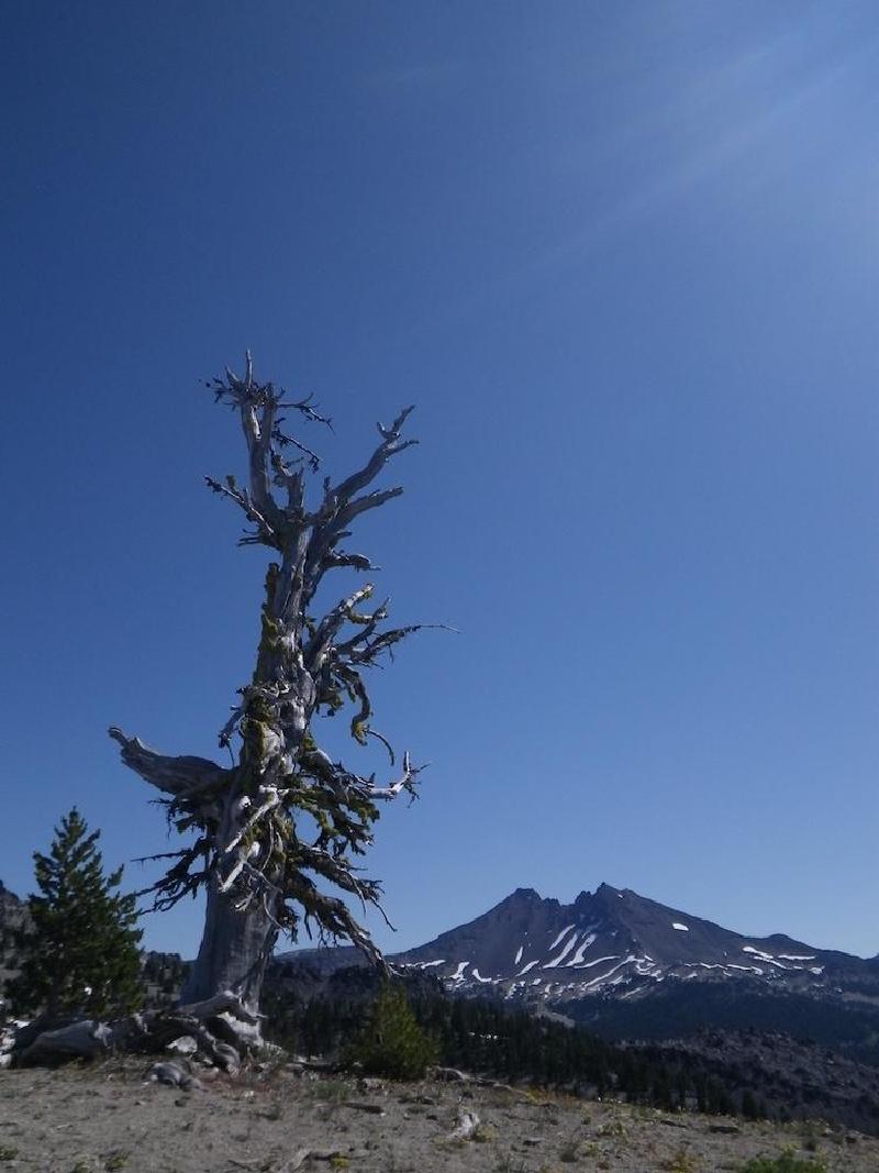 gallery/southSister_008.jpg