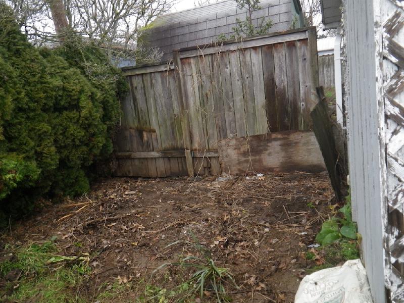 gallery/cleanup_014.jpg