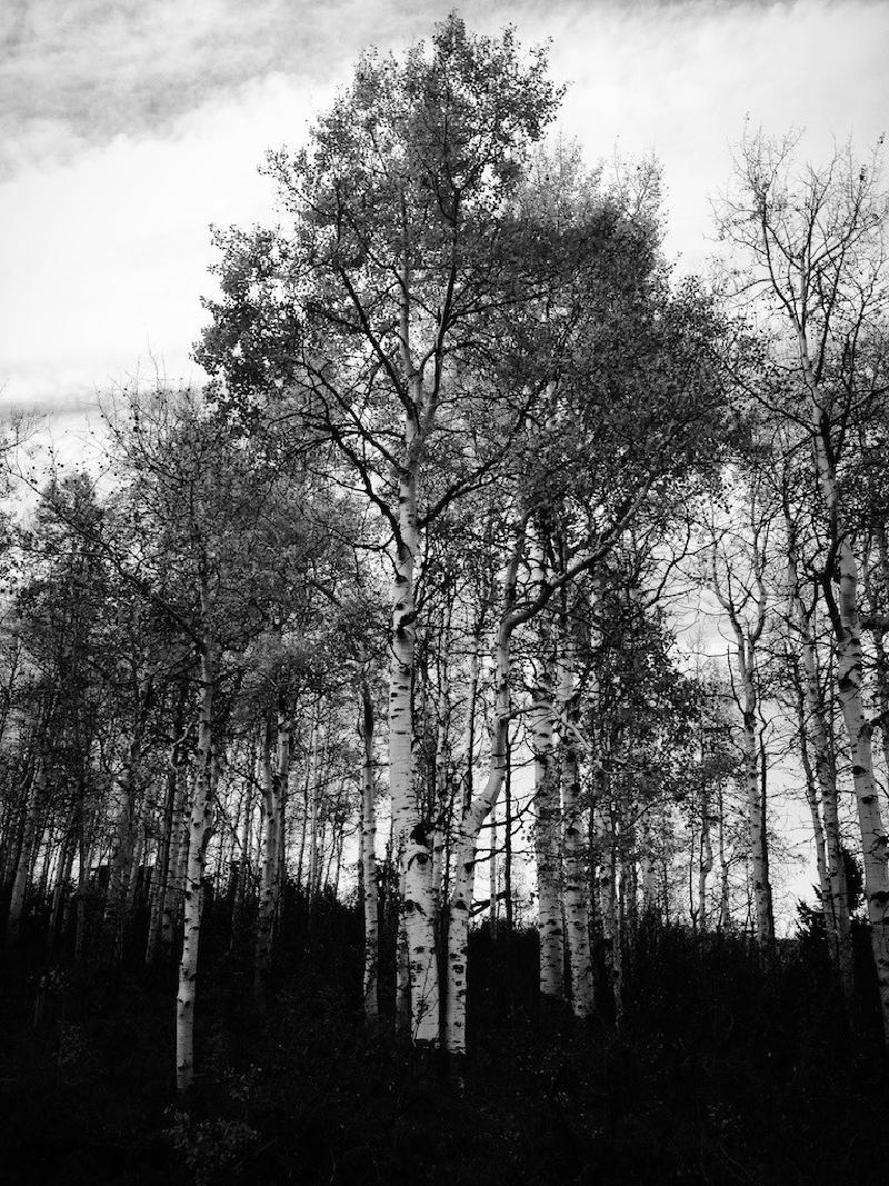 gallery/colorado_020.jpg