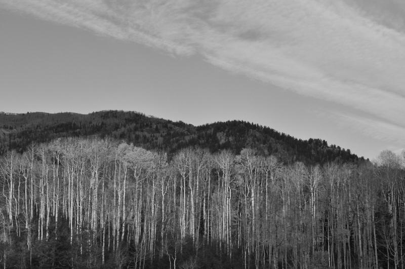 gallery/colorado_042.jpg