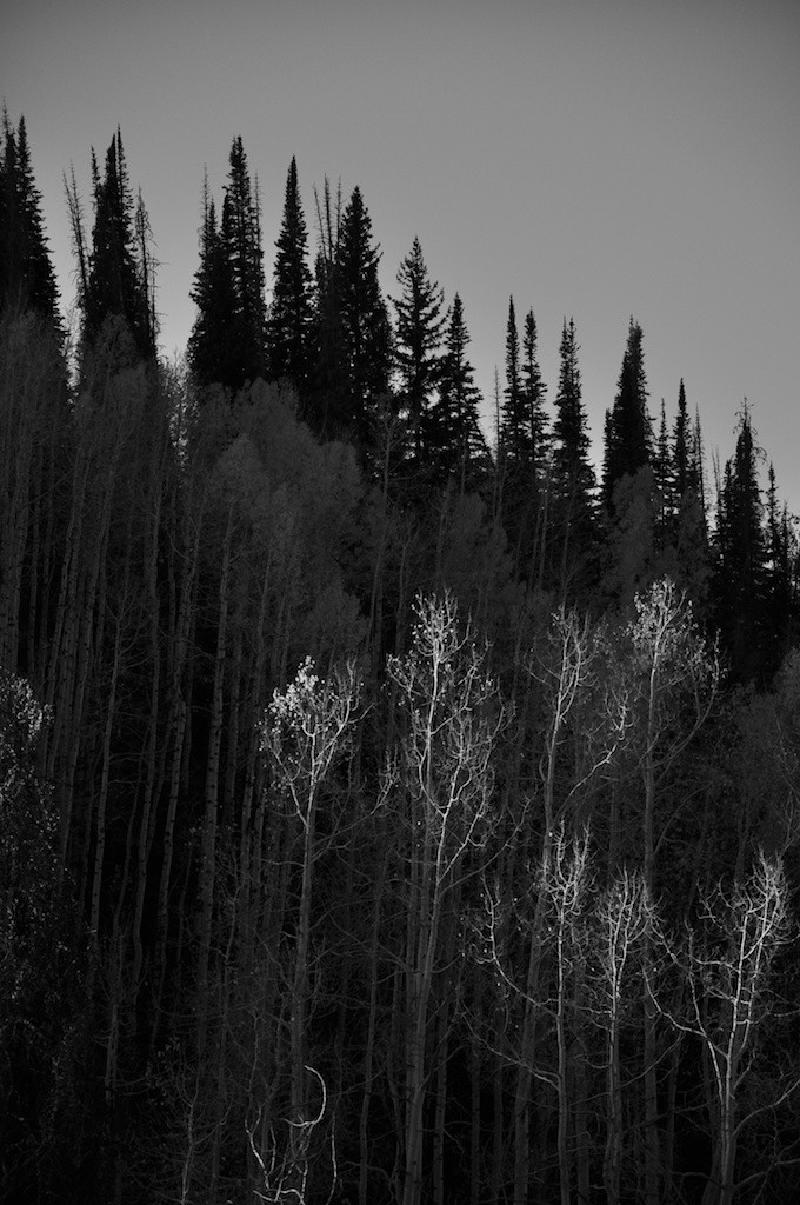 gallery/colorado_089.jpg