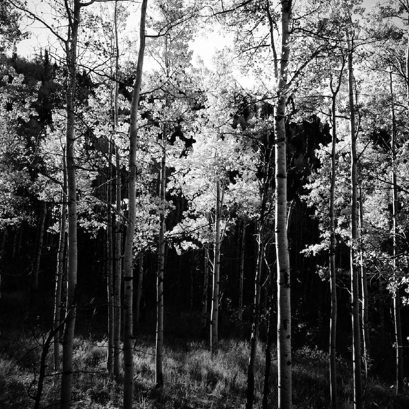 gallery/colorado_092.jpg