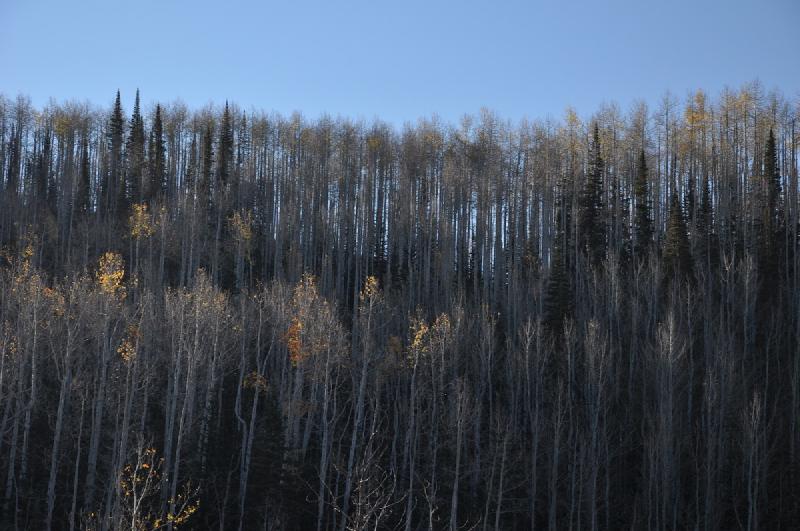 gallery/colorado_097.jpg