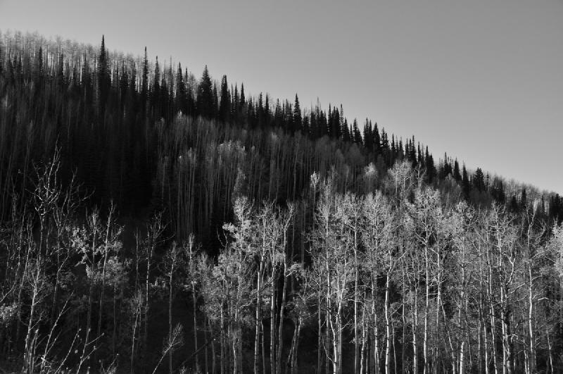gallery/colorado_099.jpg