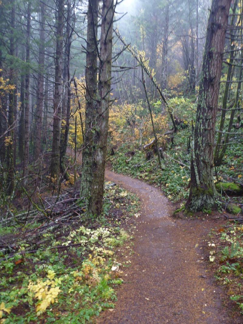 gallery/dogMountain_05.jpg