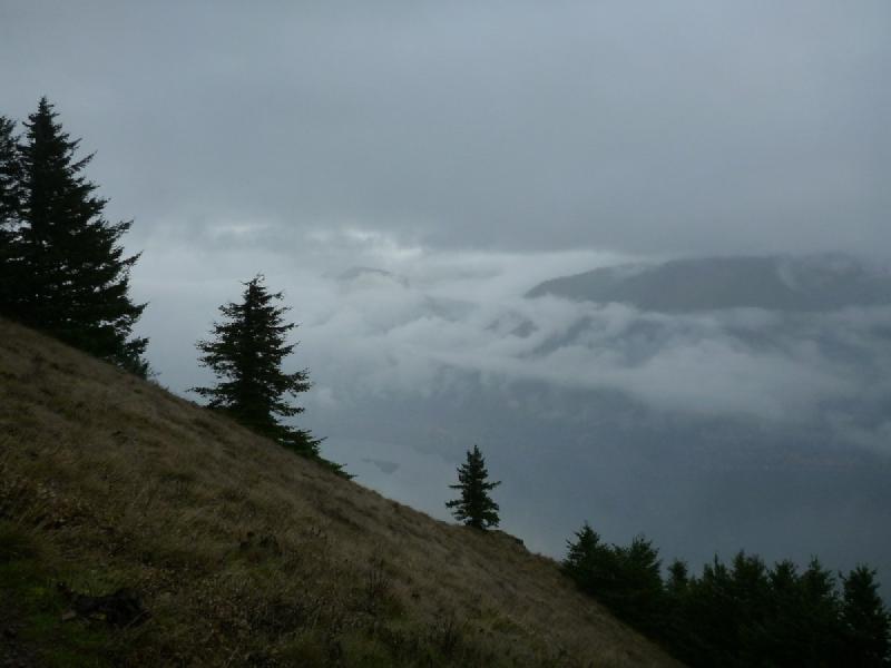 gallery/dogMountain_06.jpg
