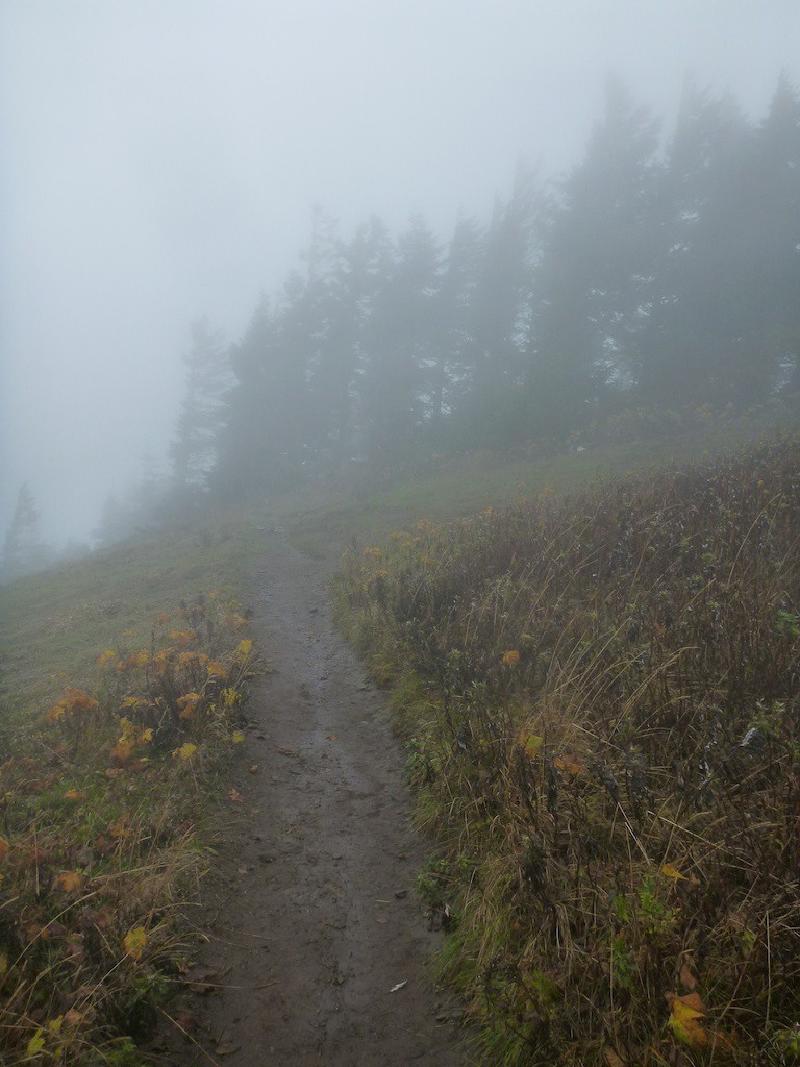 gallery/dogMountain_12.jpg
