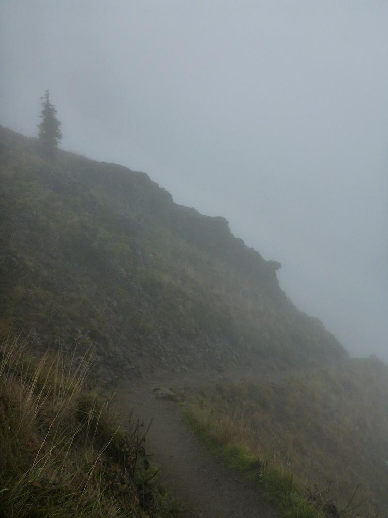 gallery/dogMountain_14.jpg