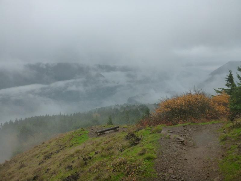 gallery/dogMountain_26.jpg
