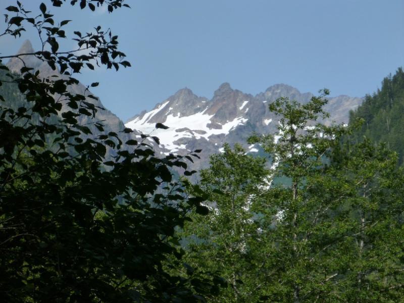 gallery/olympics_056.jpg