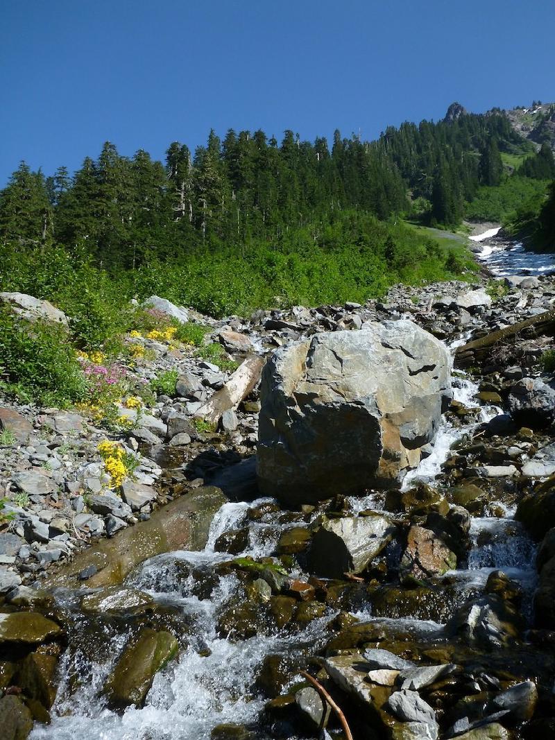 gallery/olympics_132.jpg