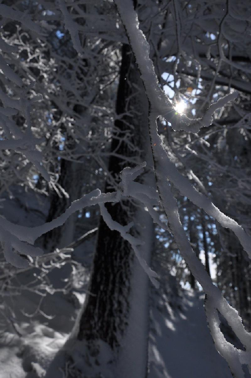gallery/hamiltonMt_017.jpg