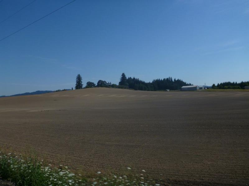 gallery/msRide_249.jpg